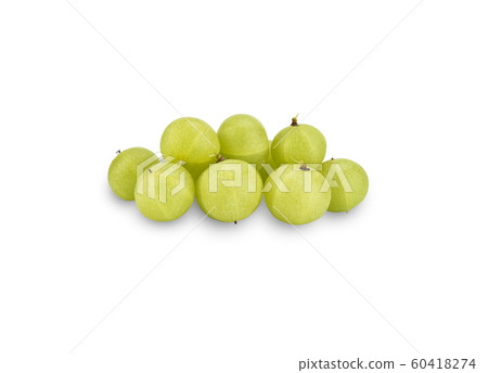 Emblic Myrabolan, Malacca Tree, Indian Gooseberry Emblic Myrabolan, Malacca Tree, Indian Gooseberry 60418274