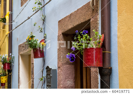 Plant decoration of a street, Bosa, Sardinia 60419771