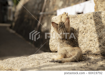 Back alley cat's nail time 2 Back alley cat's nail time 2 60419792