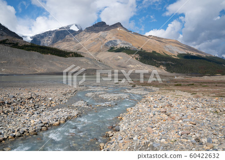 Icefield Parkway, Jasper National Park, Alberta, 60422632