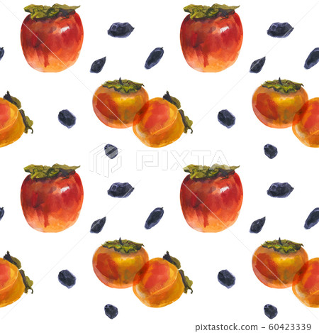 Winter persimmon fruits on a white, watercolor Winter persimmon fruits on a white, watercolor 60423339
