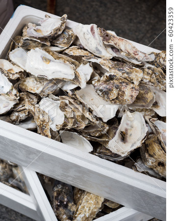 Oyster shell Oyster shell 60423359