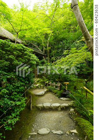 夏季大慈寺<京都市宇京區> 夏季大慈寺<京都市宇京區> 60423638