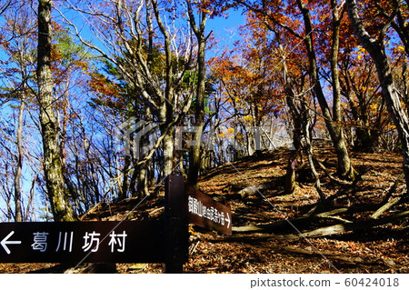 Takenagatake Gotenyama Course Trail 60424018