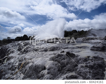 羅托魯瓦,蒂普亞,波胡圖間歇泉 羅托魯瓦,蒂普亞,波胡圖間歇泉 60424161