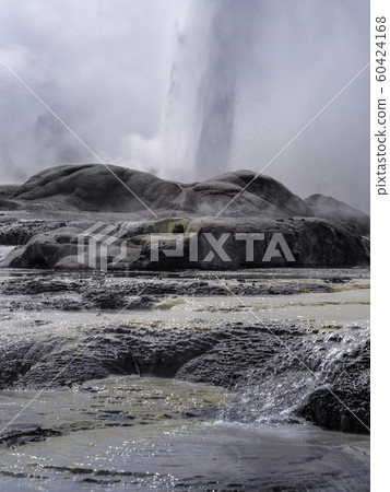New Zealand Rotorua Te Puia Pohutu Geyser Geyser New Zealand Rotorua Te Puia Pohutu Geyser Geyser 60424168