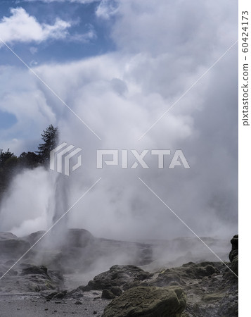 Pohutu Geyser, Te Puia, Rotorua 60424173