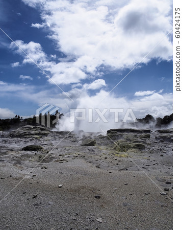 Pohutu Geyser, Te Puia, Rotorua 60424175