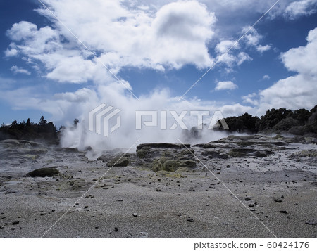 New Zealand Rotorua Te Puia Pohutu Geyser Geyser New Zealand Rotorua Te Puia Pohutu Geyser Geyser 60424176