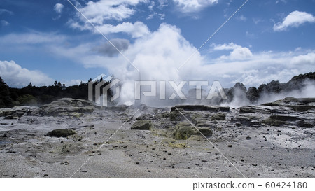 New Zealand Rotorua Te Puia Pohutu Geyser Geyser New Zealand Rotorua Te Puia Pohutu Geyser Geyser 60424180