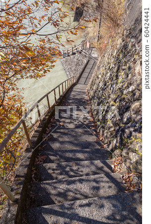 自然豐富的奧多摩湖（Lake Okutama）東京以外的自然寶庫。 60424441