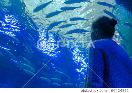 Woman looking at fish vortex in large public aquarium tank at oceanarium 60424851