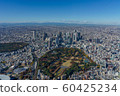 Aerial view of Shinjuku buildings 60425234
