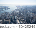 Aerial view of central Tokyo 60425249