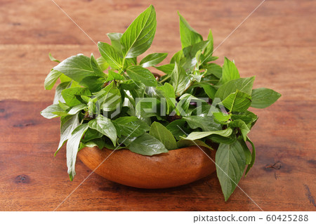 Thai basil Thai basil 60425288