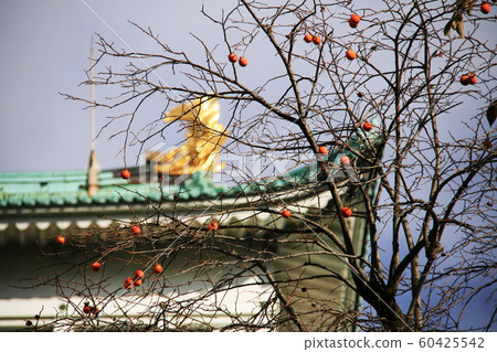 Autumn in Japan 60425542
