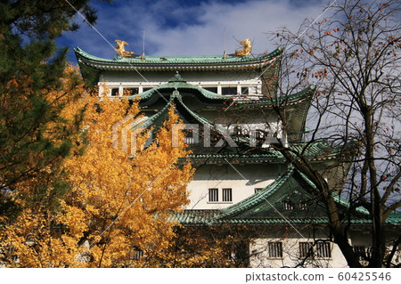 日本秋天名古屋城堡黃色葉子和城堡塔 60425546