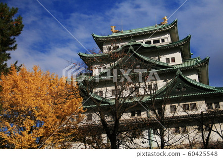 日本秋天名古屋城堡黃色葉子和城堡塔 60425548