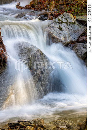 Abounding mountain stream in Spanish mountain Abounding mountain stream in Spanish mountain 60425616