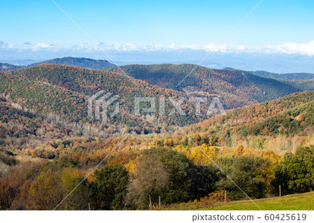 Colorful autumn forest in a Spanish mountain 60425619