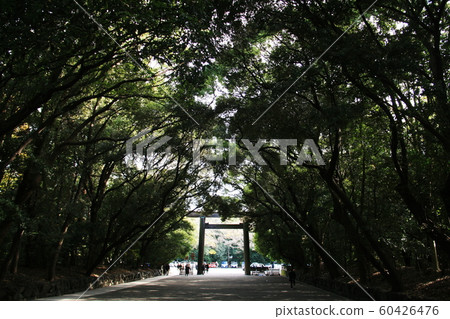 Autumn in Japan, approach to Atsuta Shrine in Nagoya 60426476