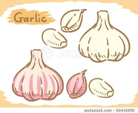 Garlic and garlic material 60426890