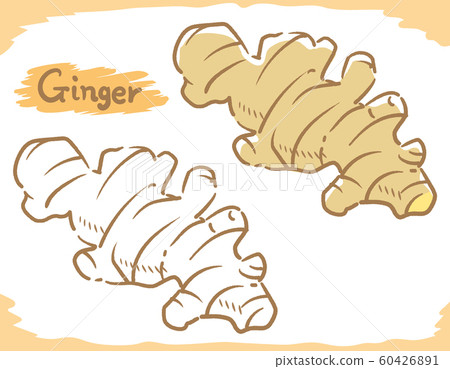 Ginger and ginger material 60426891