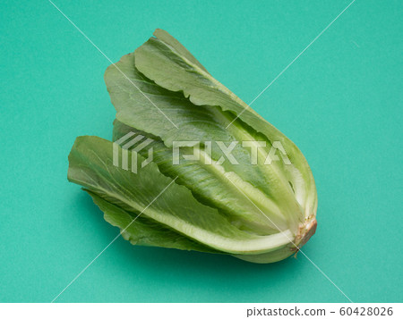 Romein生菜 60428026