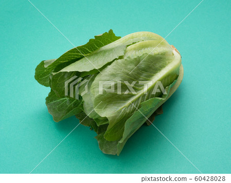 Romaine lettuce 60428028