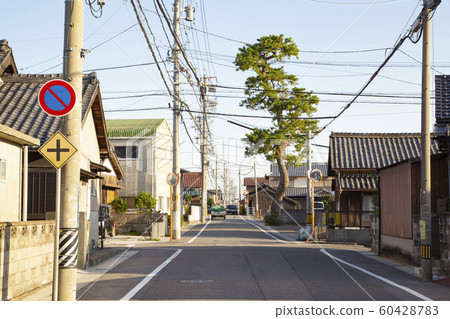 Tokaido name remaining one pine 60428783
