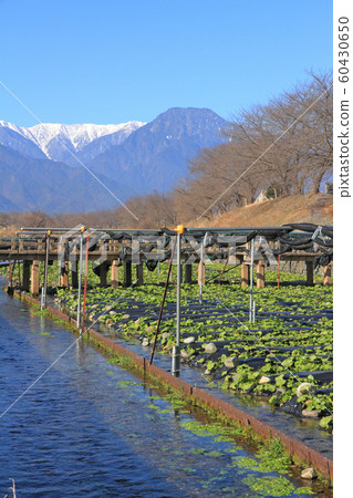 Wasaka River in Hotaka River and Northern Alps in early winter 60430650