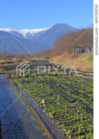 Wasaka River in Hotaka River and Northern Alps in early winter Wasaka River in Hotaka River and Northern Alps in early winter 60430656