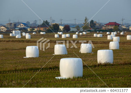 Straw, rice straw, village, agriculture, Straw, rice straw, village, agriculture, 60431377