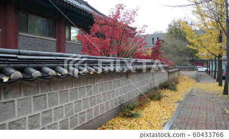 Late autumn landscape Late autumn landscape 60433766