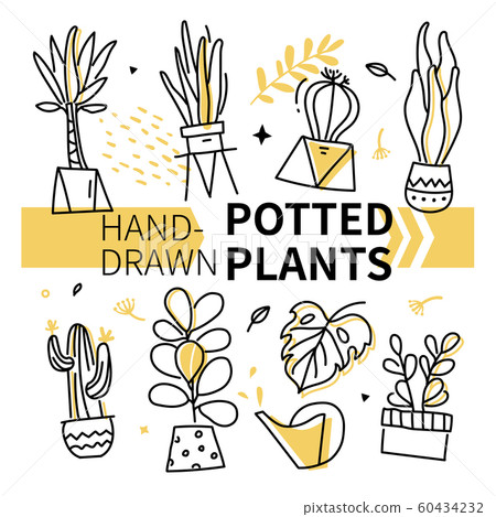 Hand-drawn potted plants collection - set of vector elements 60434232