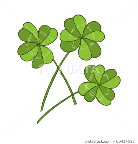 Lucky four leaf green clover Lucky four leaf green clover 60434585