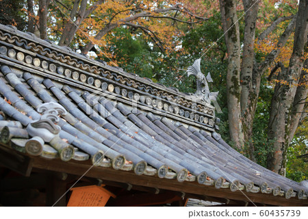 後樂園 60435739