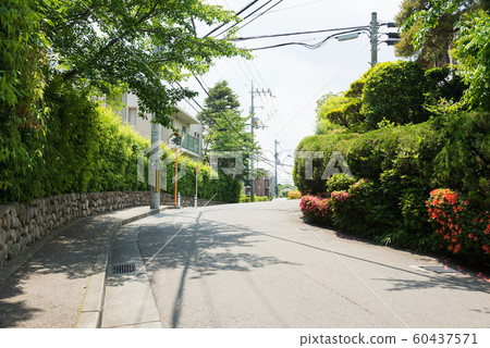 Hibarigaoka cityscape 60437571