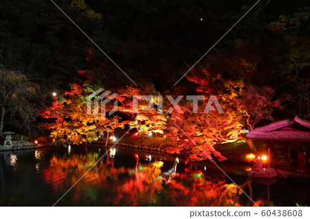 Autumn leaves light up 60438608