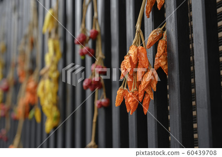 Chili tree on the surface 60439708