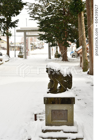 Photographing winter snow scenes in the precincts of the Ohi Shrine in the Ono area of Hokuto City, Hokkaido Photographing winter snow scenes in the precincts of the Ohi Shrine in the Ono area of Hokuto City, Hokkaido 60439927
