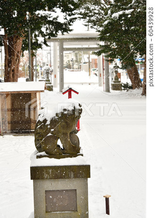Photographing winter snow scenes in the precincts of the Ohi Shrine in the Ono area of Hokuto City, Hokkaido Photographing winter snow scenes in the precincts of the Ohi Shrine in the Ono area of Hokuto City, Hokkaido 60439928