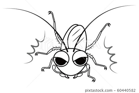 蟑螂特徵矢量圖 60440582