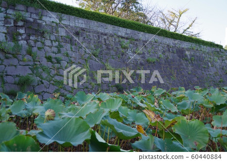 Tsurumaru castle Tsurumaru castle 60440884