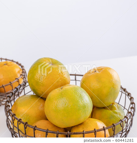 Tachibana Agricultural New Year White bottom Contemporary tangerine white background Tangerine tangerine 60441281