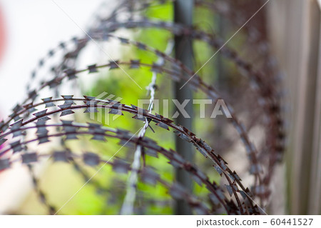 Prison image 60441527