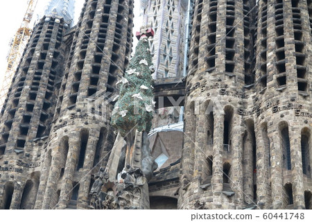 Sakurada Familia 60441748
