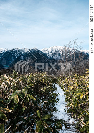 從蘆野峰（12月）的北阿爾卑斯山景觀 60442114