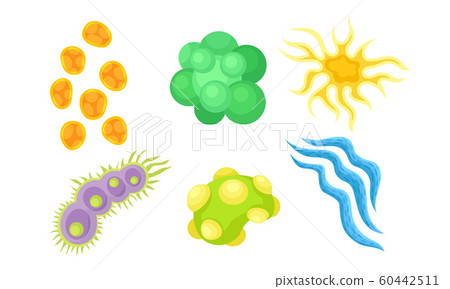 Bacterias and Germs Collection, Different Types of Colorful Microbes, Viruses, Protozoans Vector Illustration Bacterias and Germs Collection, Different Types of Colorful Microbes, Viruses, Protozoans Vector Illustration 60442511