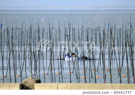 Omuta City Miike port Norito ship, 60442747